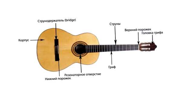 Чем акустическая гитара отличается от классической