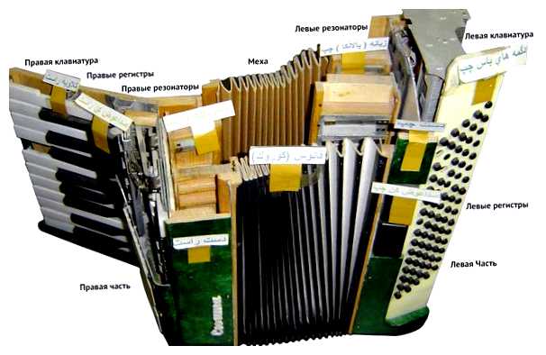 Чем отличается аккордеон