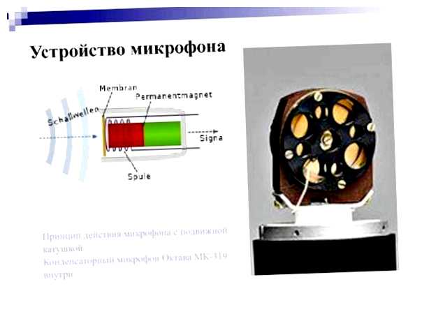 Чем отличается конденсаторный микрофон от обычного