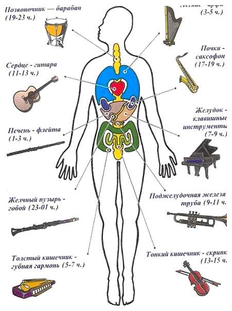 Как барабаны влияют на человека