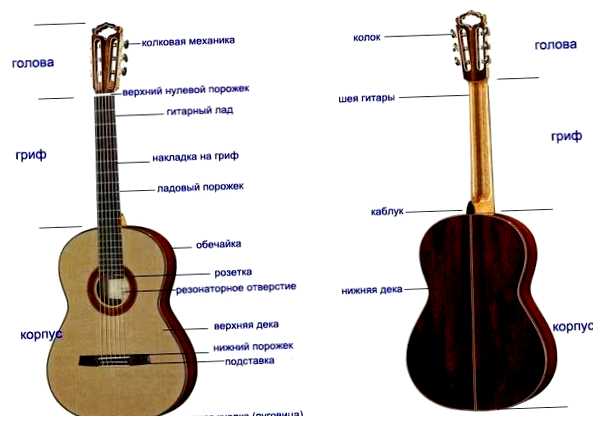 Как называется гитара 6 струн
