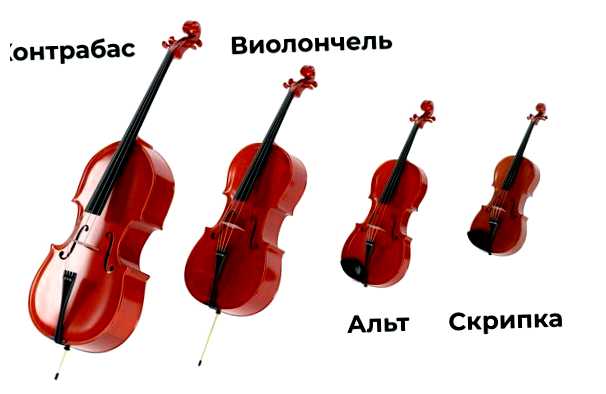 Как понять какой нужен размер скрипки