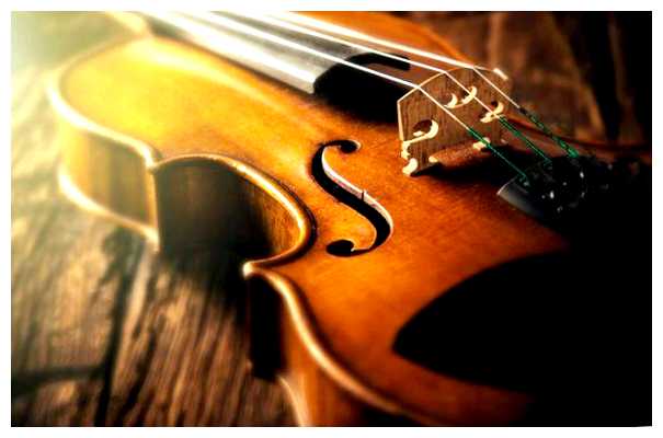 Как понять какую скрипку выбрать