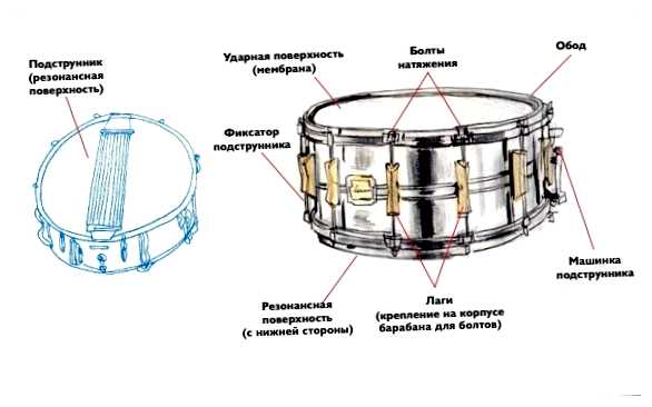Как правильно ударник или барабанщик