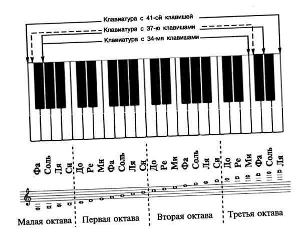 Как расположены клавиши на баяне