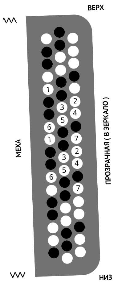 Как расположены клавиши на баяне