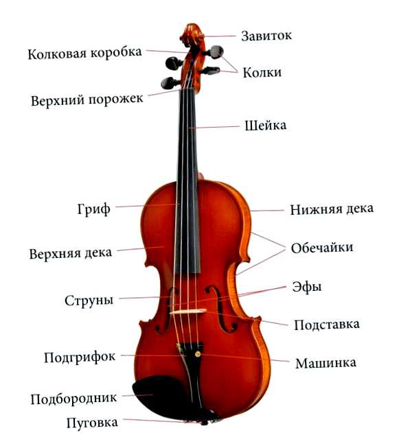 Как узнать какая скрипка