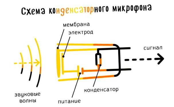 Какая чувствительность у микрофона лучше