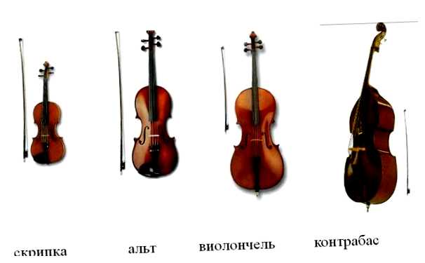 Какие бывают скрипки и их названия