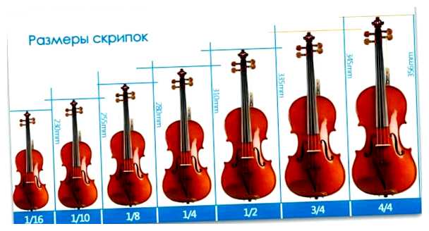 Какие есть виды скрипки