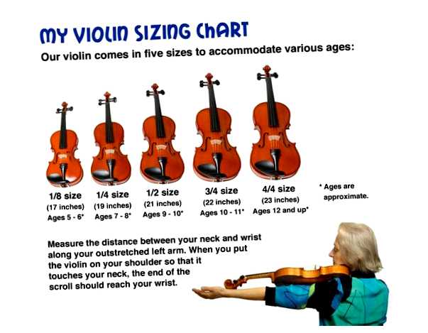 Какой размер скрипки подойдет для 12 лет