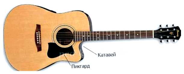 Какую гитару выбрать для обучения