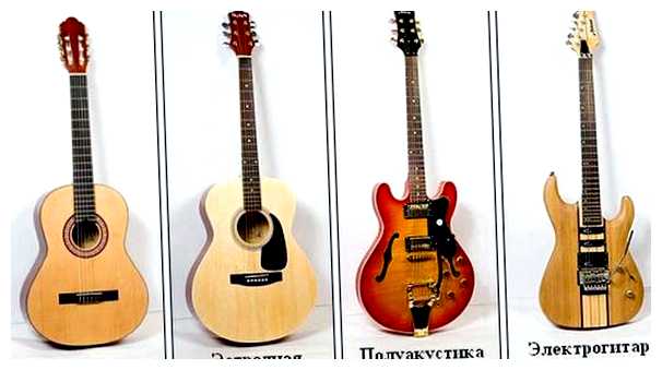 Какую лучше выбрать гитару