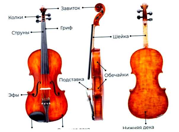 Почему скрипка считается самым сложным инструментом