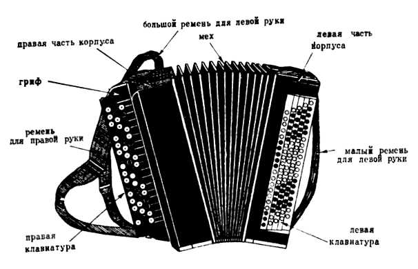 Сколько у баяна кнопок