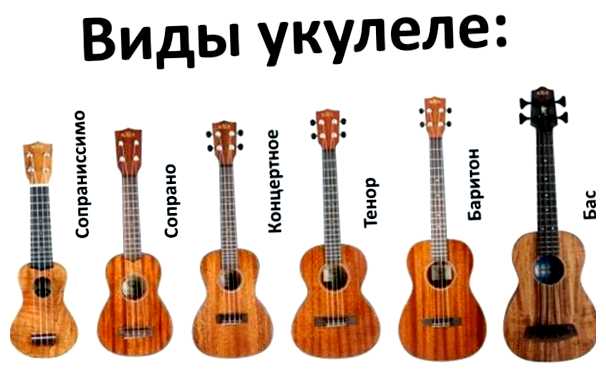 В чем разница между акустической и классической